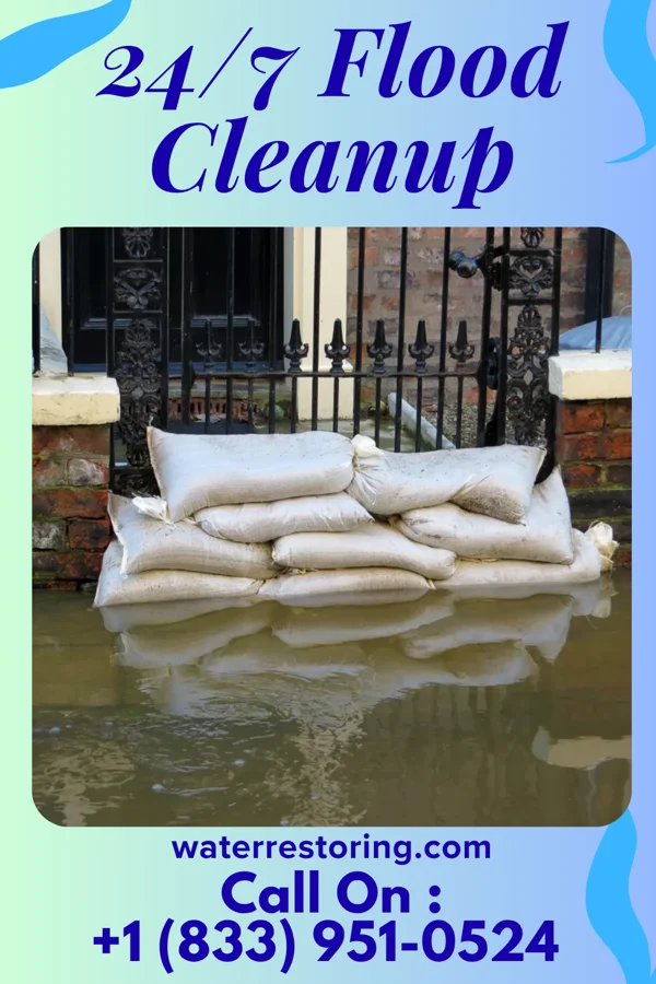 24/7 Flood Cleanup in Sonora, KY