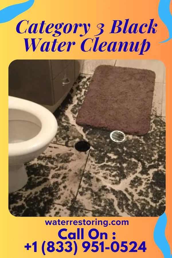 Category 3 Black Water Cleanup in Sonora, KY