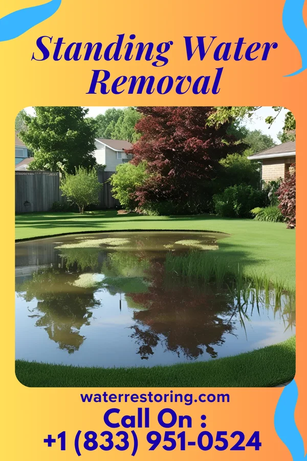 Standing Water Removal in Sonora, KY